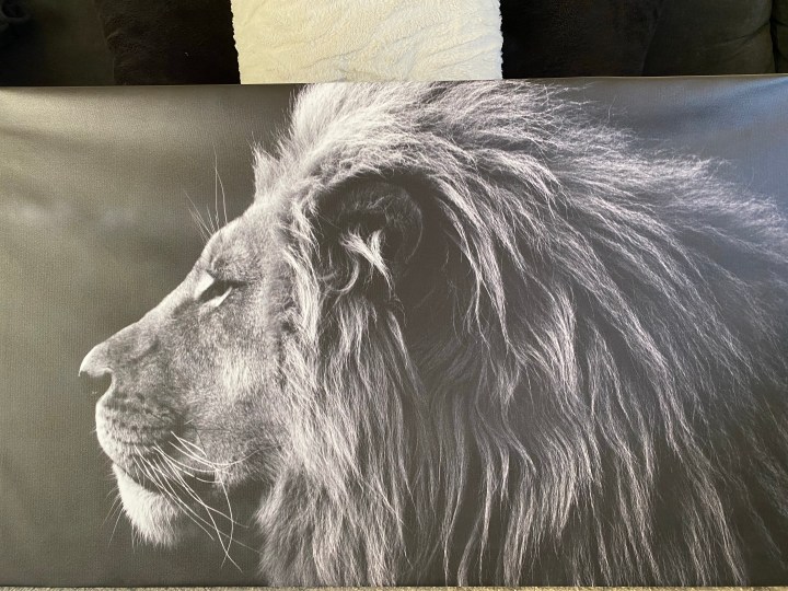 Decorate Your Space With&nbsp;PhotoWall!