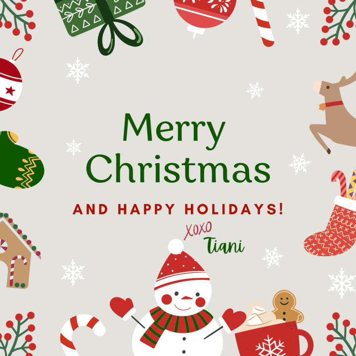 Merry Christmas And Happy&nbsp;Holidays!